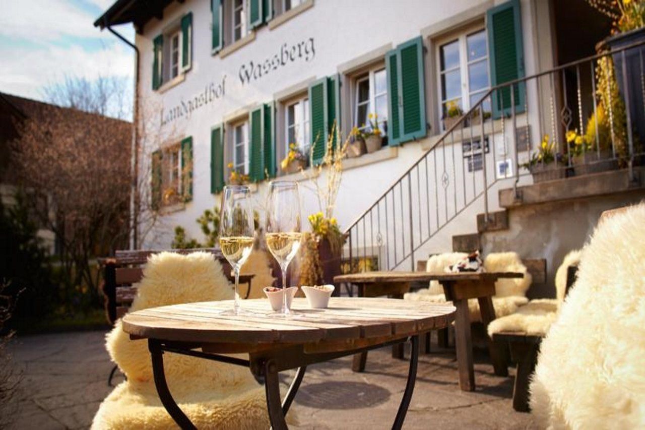 Wassberg Forch